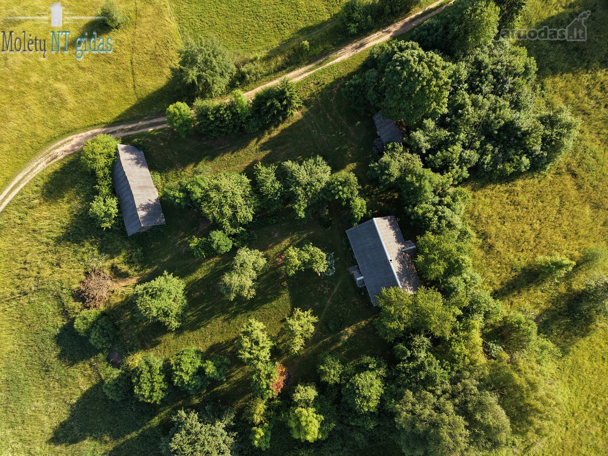 Jauki sodyba ant kalvelės – 63 arų sklypas - nuotraukos Nr. 6