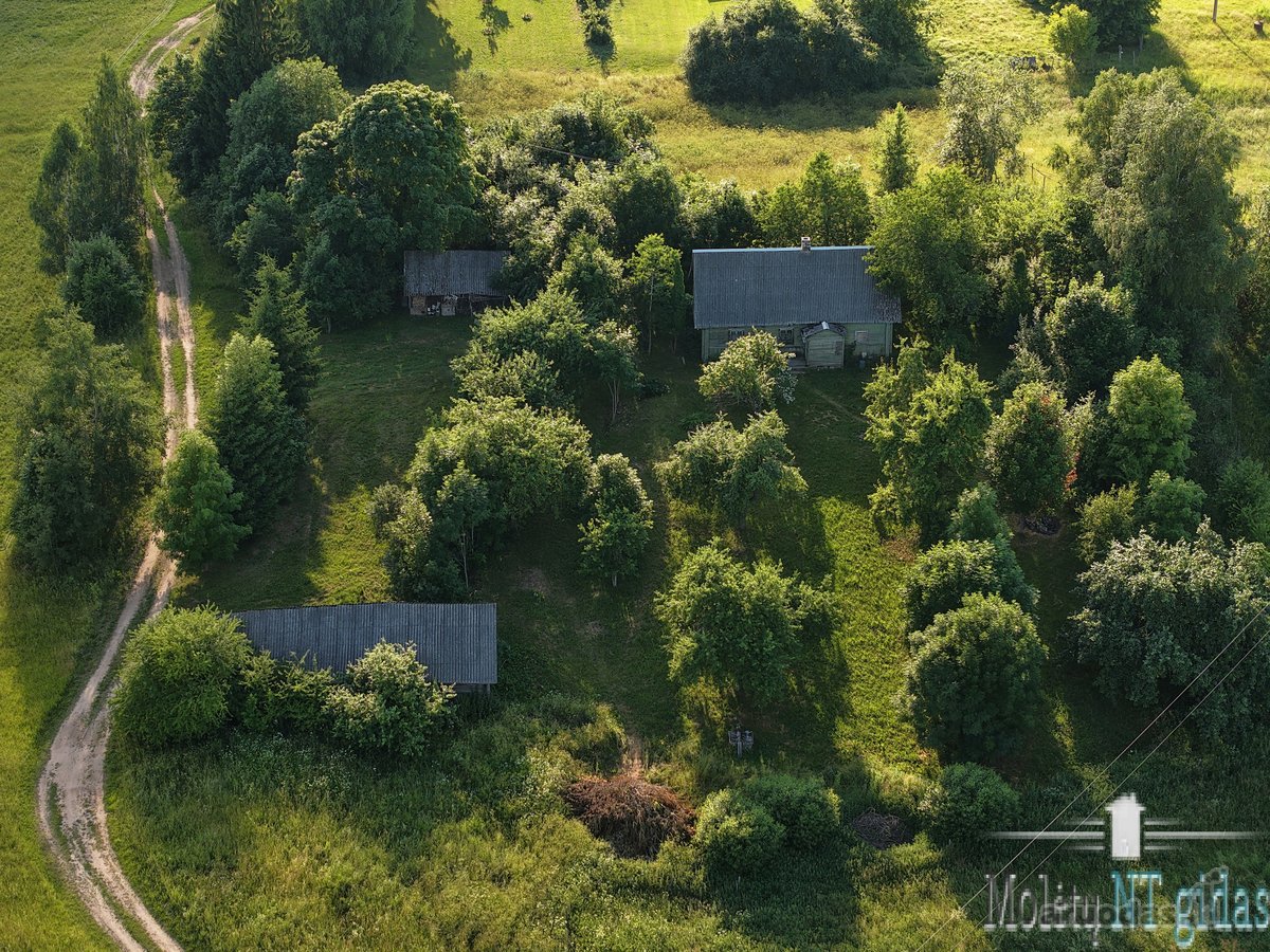 Jauki sodyba ant kalvelės – 63 arų sklypas - nuotraukos Nr. 7