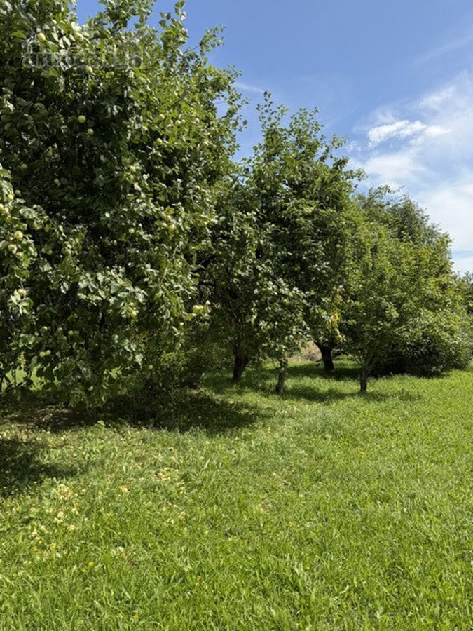 Jauki sodyba ant kalvelės – 63 arų sklypas - nuotraukos Nr. 8