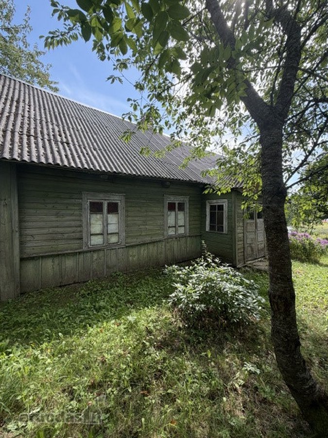 Jauki sodyba ant kalvelės – 63 arų sklypas - nuotraukos Nr. 11
