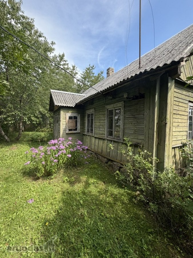 Jauki sodyba ant kalvelės – 63 arų sklypas - nuotraukos Nr. 9