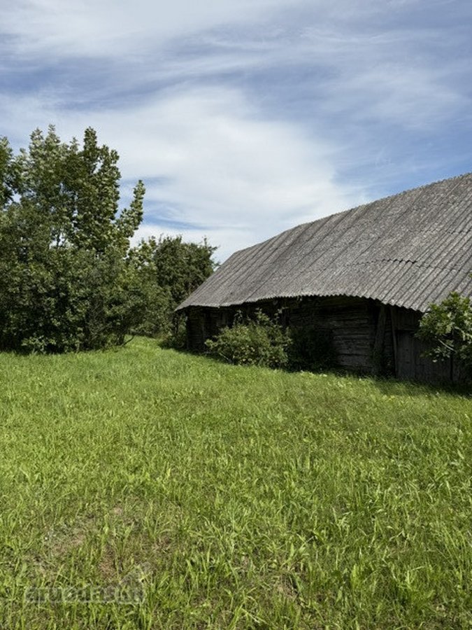Jauki sodyba ant kalvelės – 63 arų sklypas - nuotraukos Nr. 17
