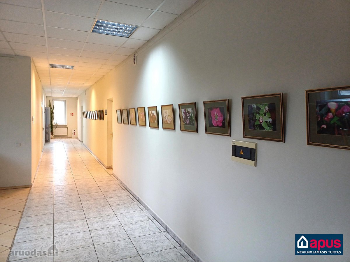 Akcija – pirmi trys nuomos mėnesiai už visą - nuotraukos Nr. 9