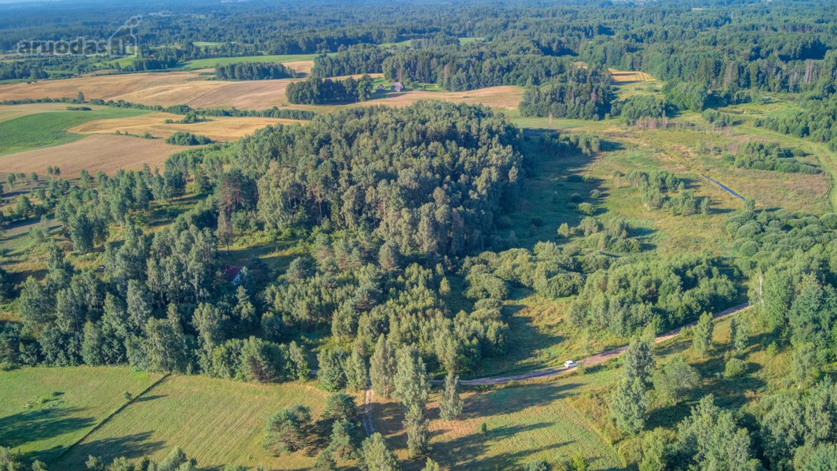 Parduodamas 5,89 Ha Žemės Sklypas Su Miško - nuotraukos Nr. 3