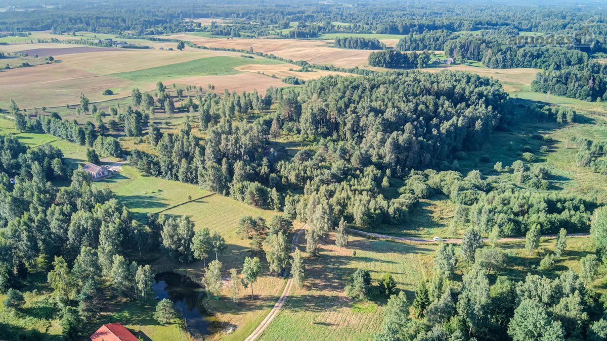 Parduodamas 5,89 Ha Žemės Sklypas Su Miško - nuotraukos Nr. 4