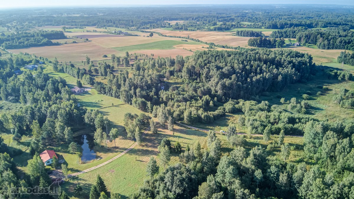 Parduodamas 5,89 Ha Žemės Sklypas Su Miško - nuotraukos Nr. 5