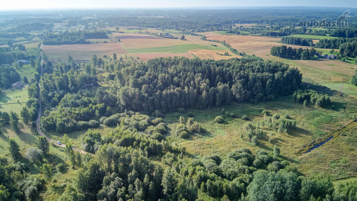 Parduodamas 5,89 Ha Žemės Sklypas Su Miško - nuotraukos Nr. 6