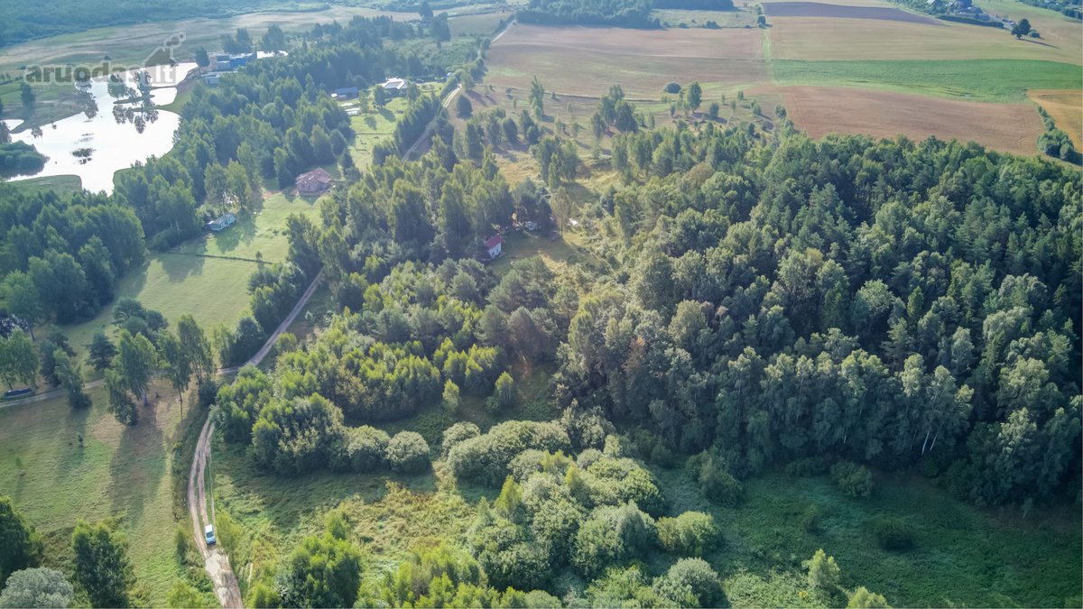 Parduodamas 5,89 Ha Žemės Sklypas Su Miško - nuotraukos Nr. 7