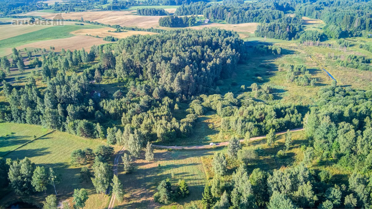 Parduodamas 5,89 Ha Žemės Sklypas Su Miško - nuotraukos Nr. 8
