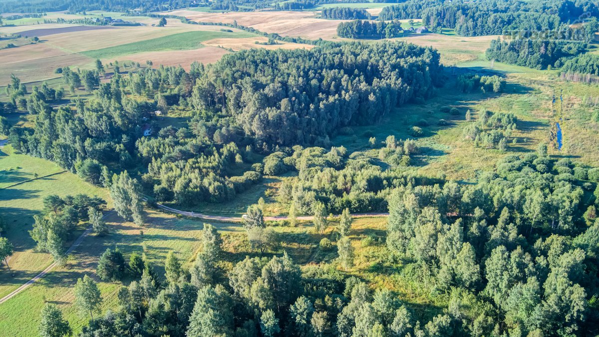 Parduodamas 5,89 Ha Žemės Sklypas Su Miško - nuotraukos Nr. 9