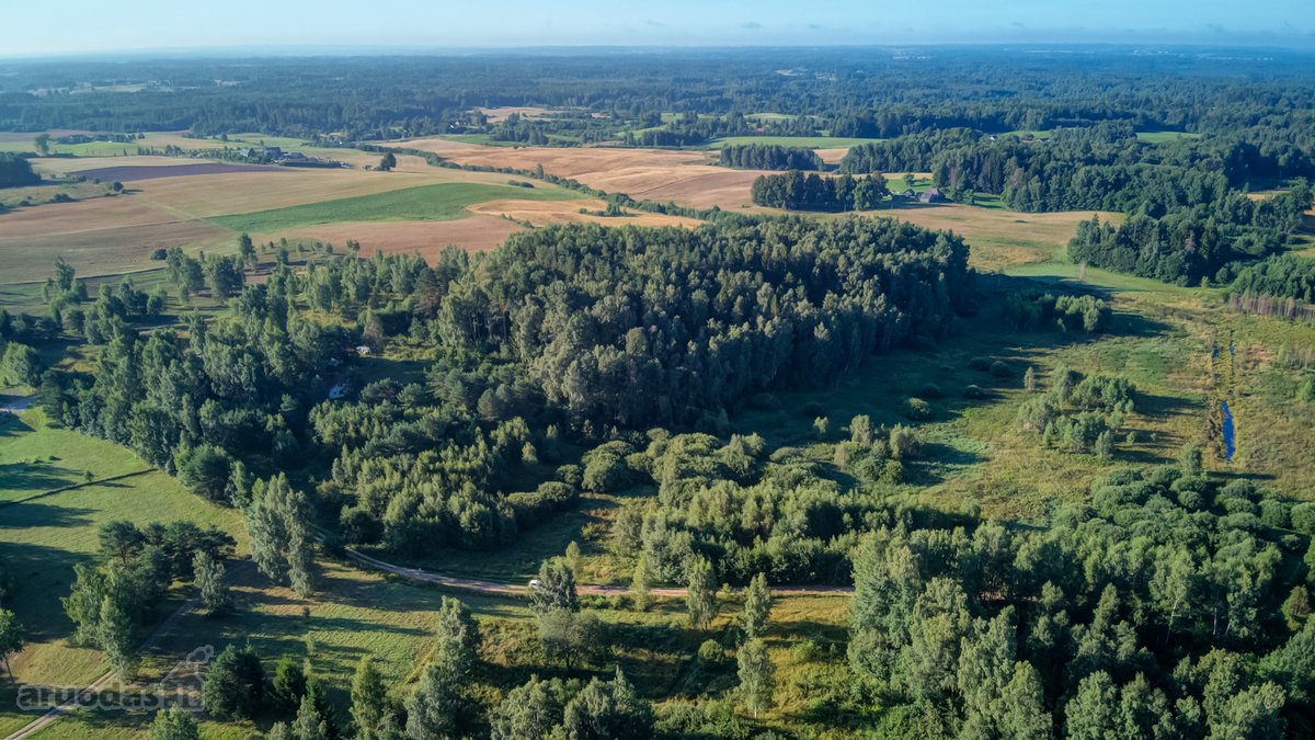 Parduodamas 5,89 Ha Žemės Sklypas Su Miško - nuotraukos Nr. 10
