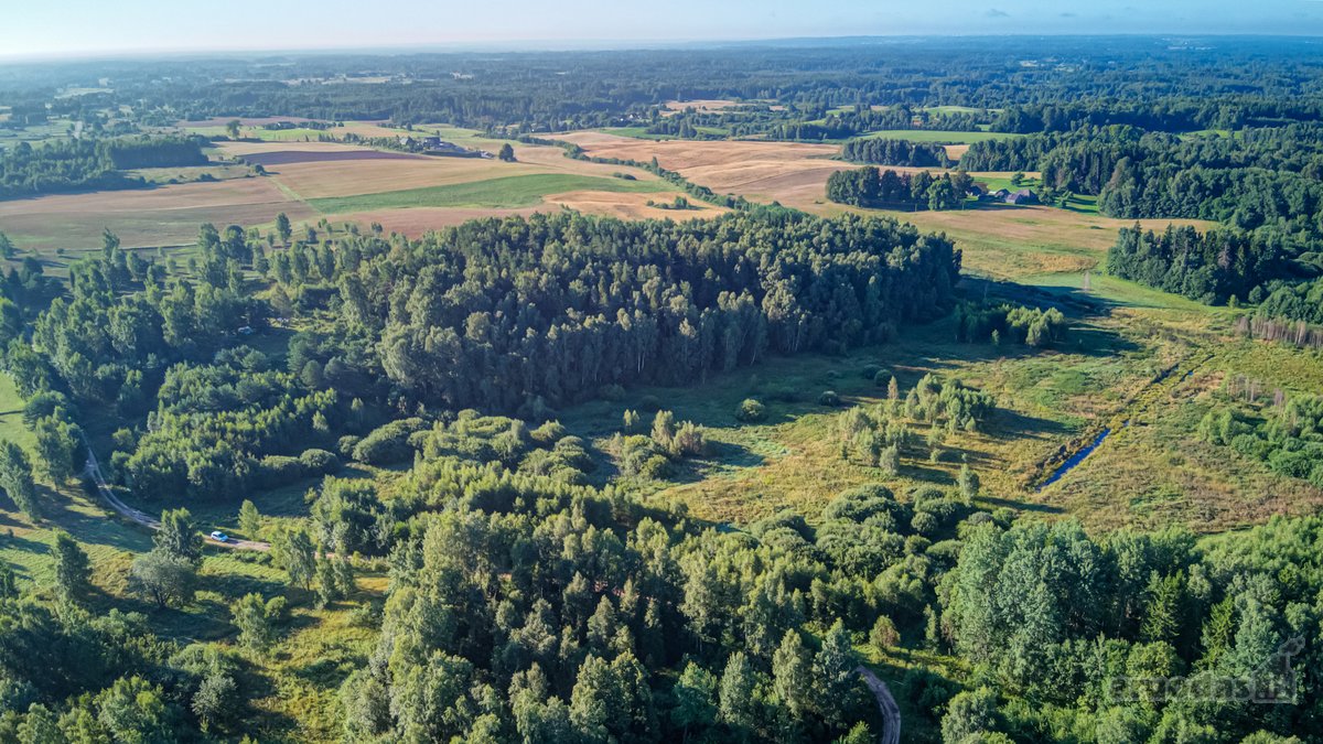 Parduodamas 5,89 Ha Žemės Sklypas Su Miško - nuotraukos Nr. 11