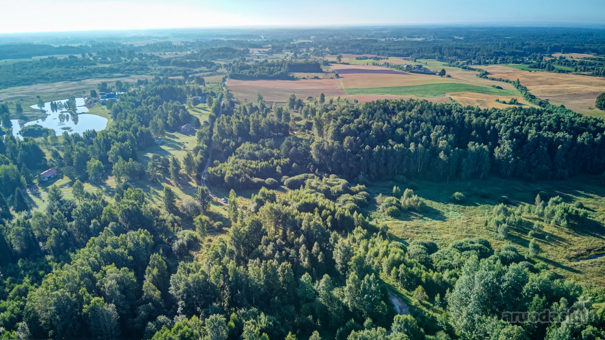 Parduodamas 5,89 Ha Žemės Sklypas Su Miško - nuotraukos Nr. 12