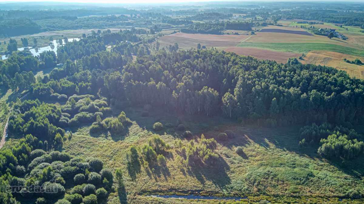 Parduodamas 5,89 Ha Žemės Sklypas Su Miško - nuotraukos Nr. 13