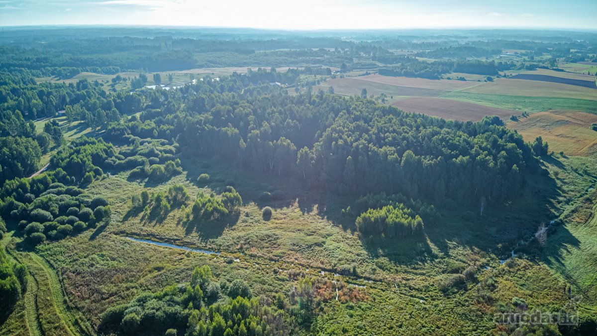 Parduodamas 5,89 Ha Žemės Sklypas Su Miško - nuotraukos Nr. 14