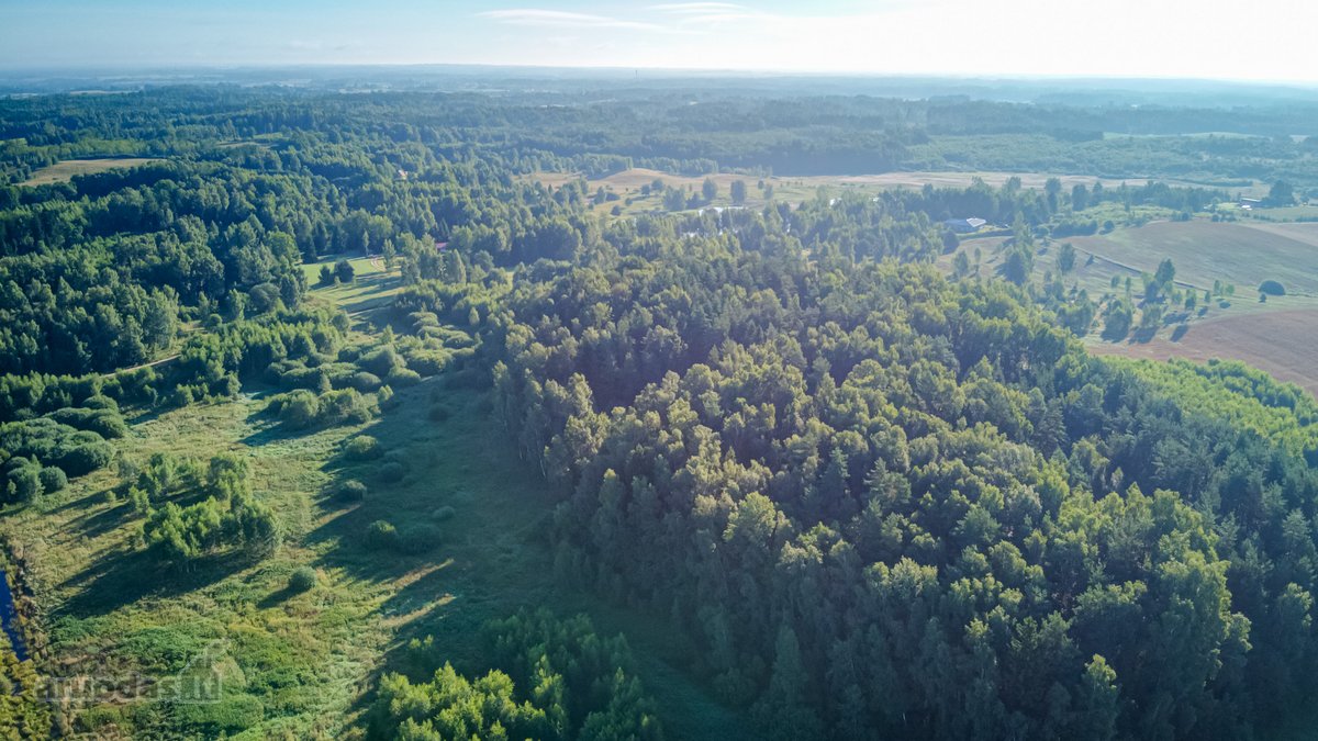 Parduodamas 5,89 Ha Žemės Sklypas Su Miško - nuotraukos Nr. 15