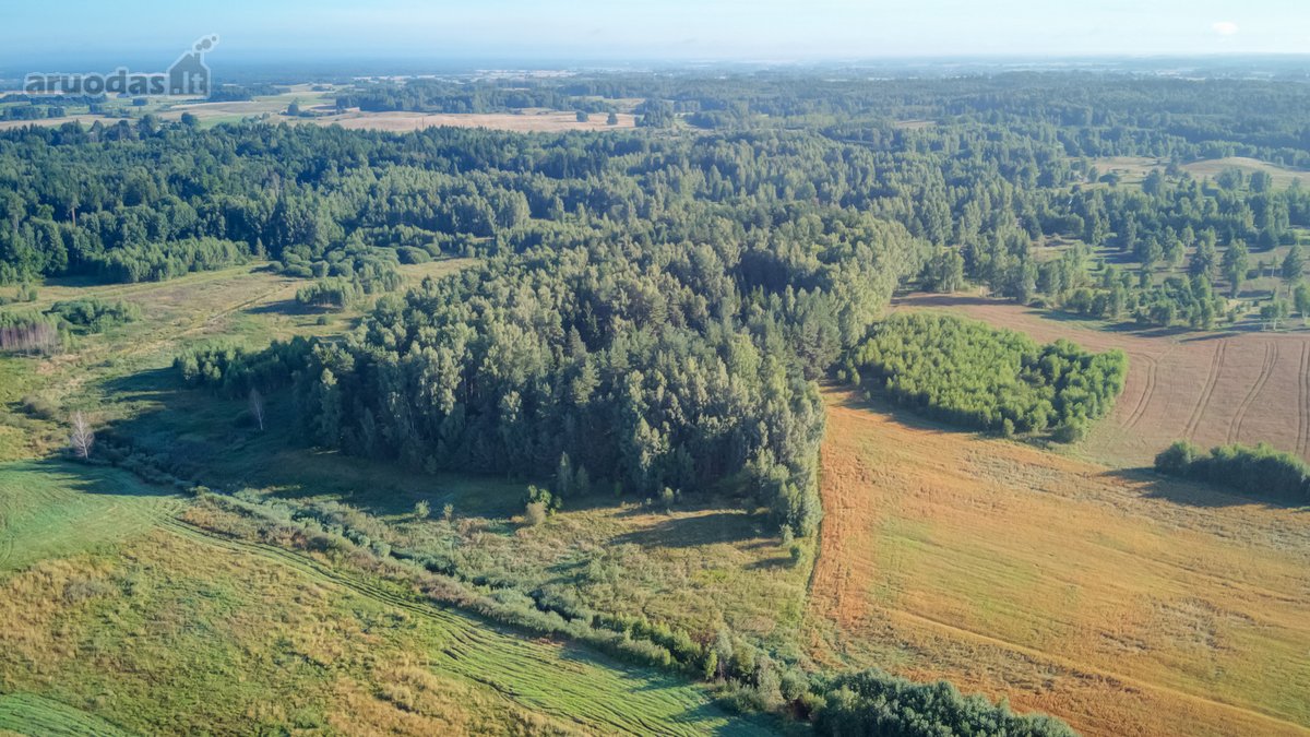 Parduodamas 5,89 Ha Žemės Sklypas Su Miško - nuotraukos Nr. 16