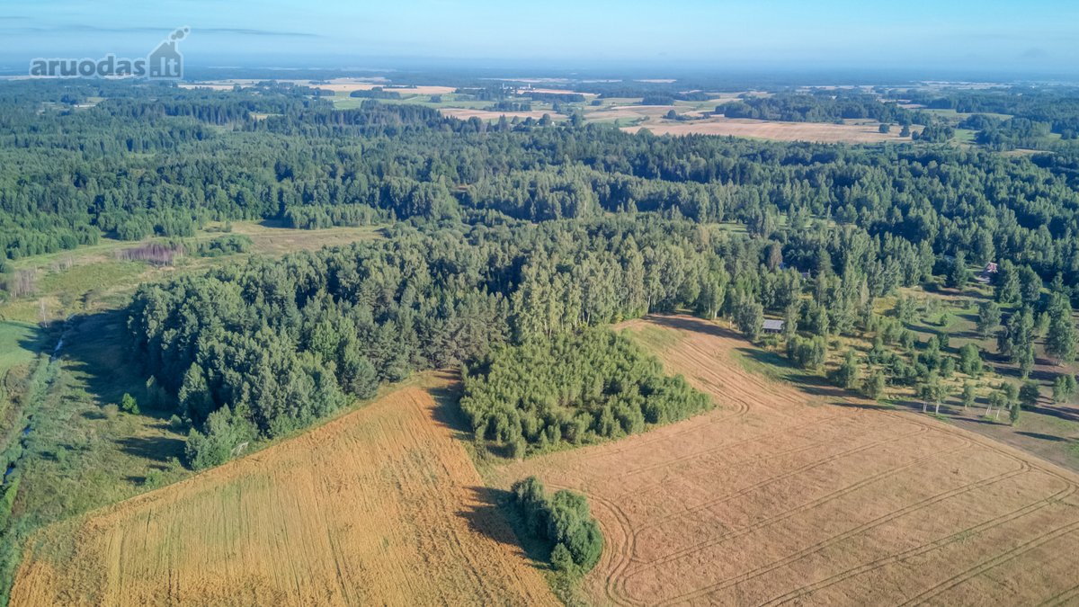 Parduodamas 5,89 Ha Žemės Sklypas Su Miško - nuotraukos Nr. 17