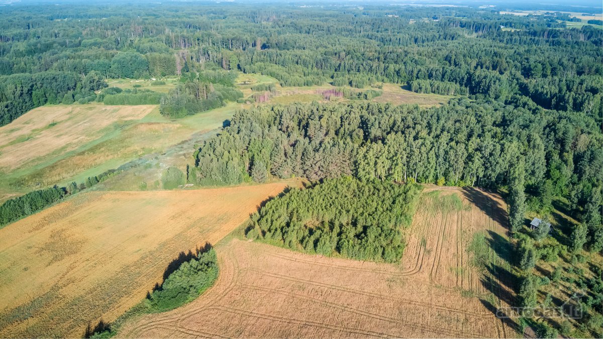 Parduodamas 5,89 Ha Žemės Sklypas Su Miško - nuotraukos Nr. 18