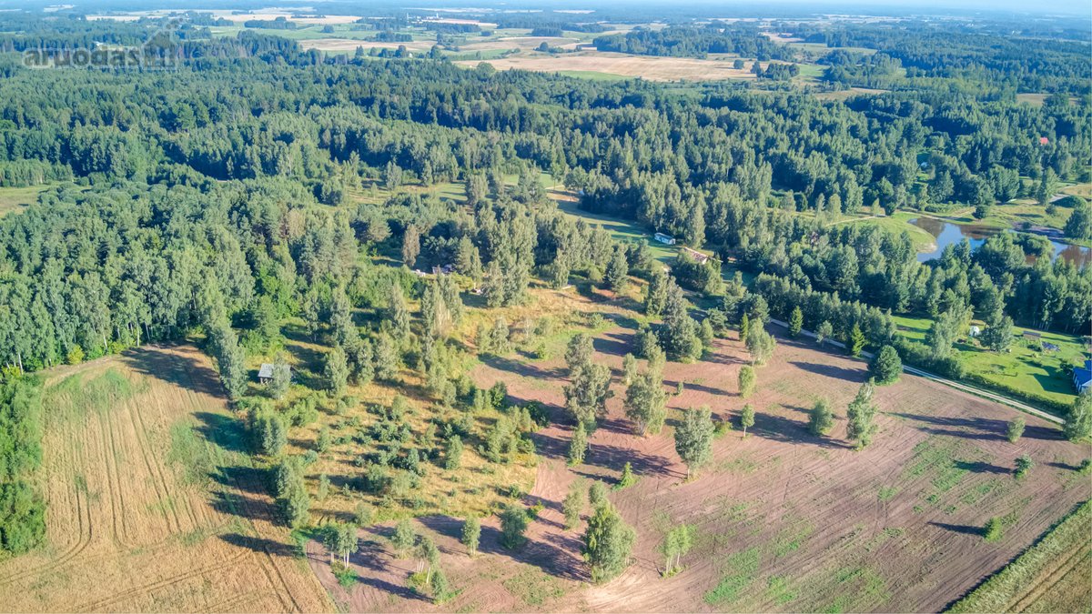 Parduodamas 5,89 Ha Žemės Sklypas Su Miško - nuotraukos Nr. 19