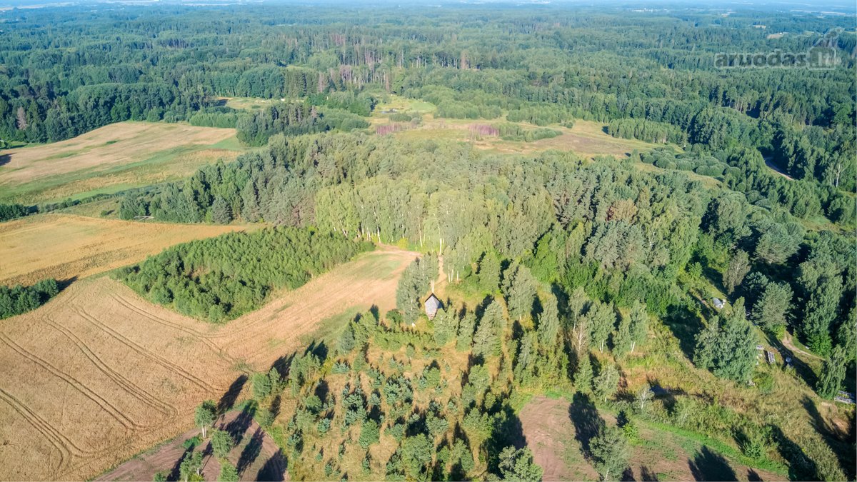 Parduodamas 5,89 Ha Žemės Sklypas Su Miško - nuotraukos Nr. 20