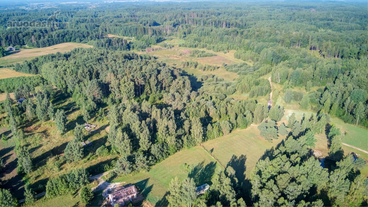 Parduodamas 5,89 Ha Žemės Sklypas Su Miško - nuotraukos Nr. 21