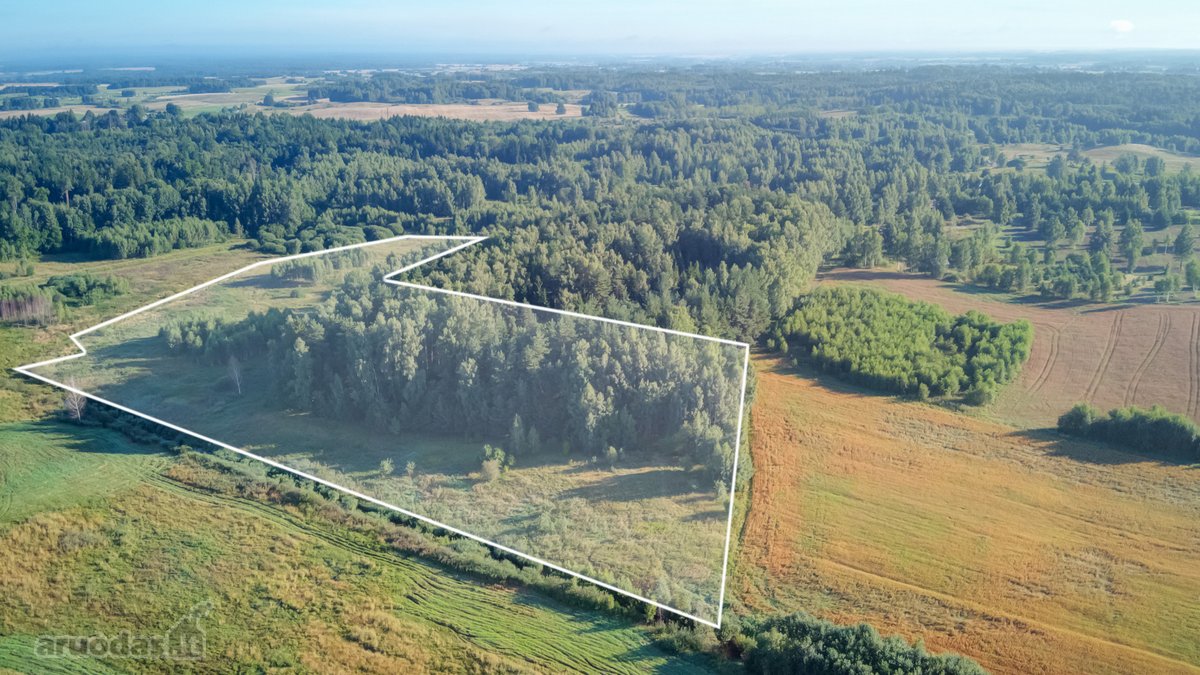 Parduodamas 5,89 Ha Žemės Sklypas Su Miško - nuotraukos Nr. 2