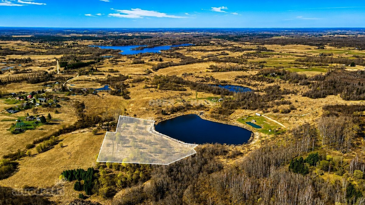 Parduodamas trijų su trupučiu hektarų sklypas - nuotraukos Nr. 2
