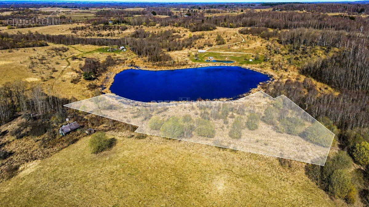 Parduodamas trijų su trupučiu hektarų sklypas - nuotraukos Nr. 6