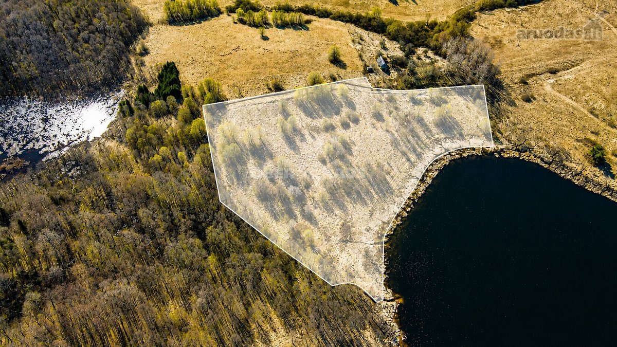 Parduodamas trijų su trupučiu hektarų sklypas - nuotraukos Nr. 7
