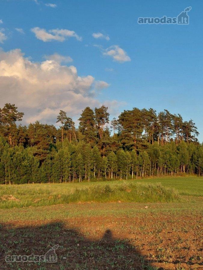 Parduodami namų valdos sklypai labai gražioje - nuotraukos Nr. 2