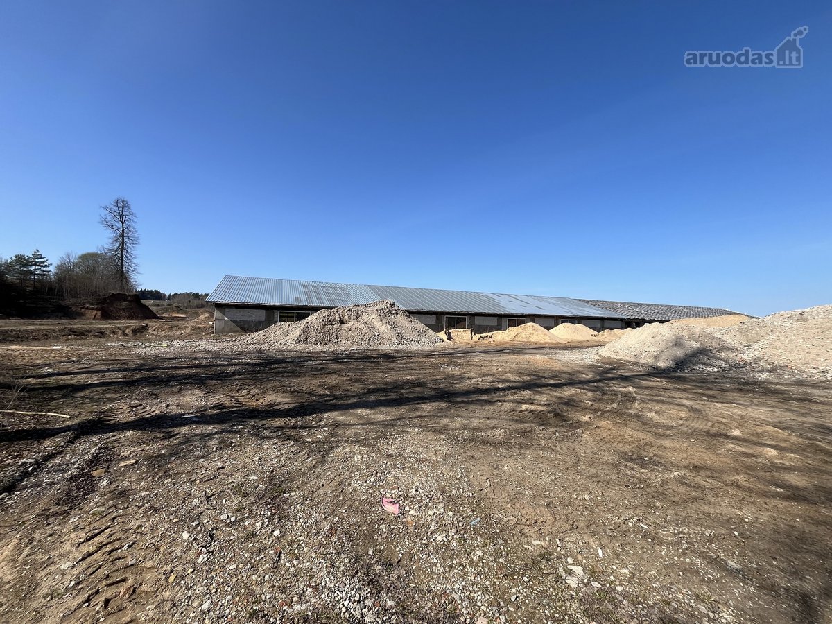 Nuomojamas 675 m² Mūrinis Sandėliavimo / - nuotraukos Nr. 11
