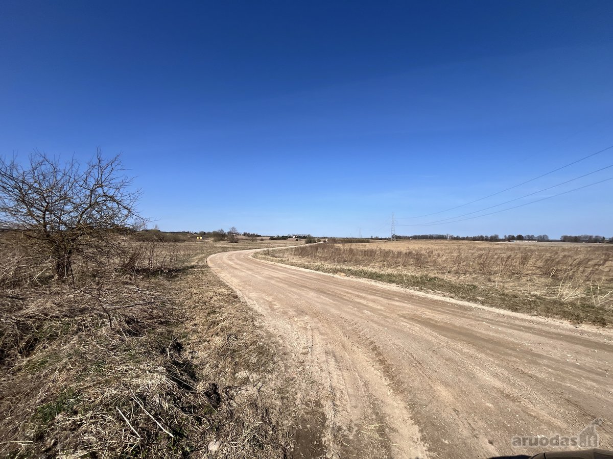Nuomojamas 675 m² Mūrinis Sandėliavimo / - nuotraukos Nr. 12