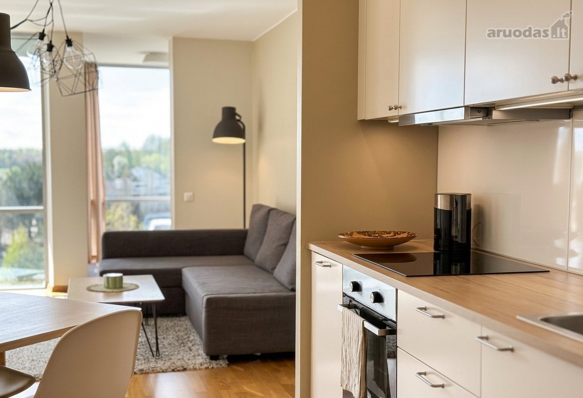 Parduodami Erdvūs Ir Šviesūs Apartamentai - nuotraukos Nr. 6