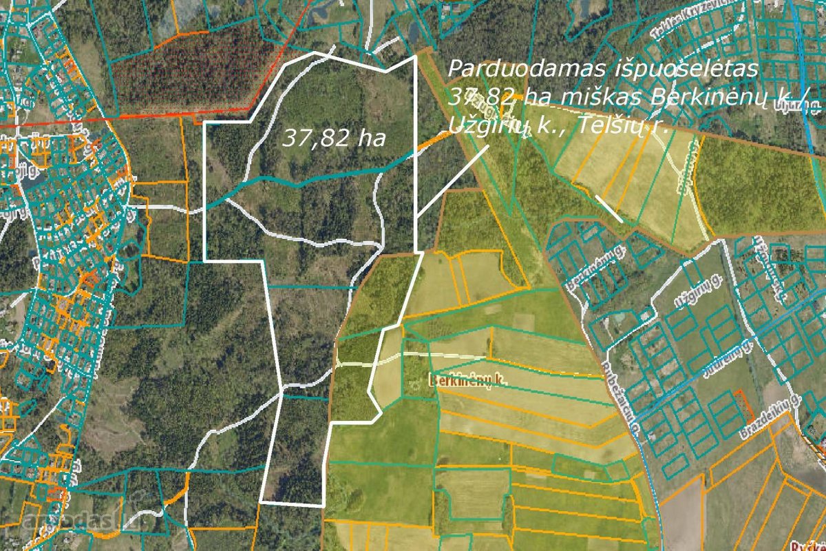 Parduodamas 37,82 ha išpuoselėtas miško - nuotraukos Nr. 6