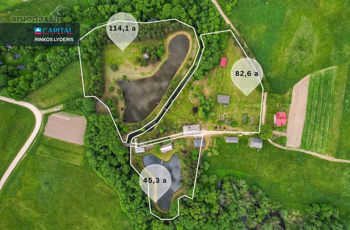 Autentiška sodyba 30 km nuo Vilniaus: - nuotraukos Nr. 3