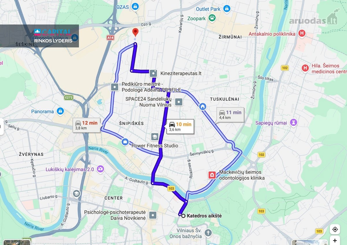 Erdvus Ir Šviesus 3 Kambarių Butas „Linkmenų - nuotraukos Nr. 32