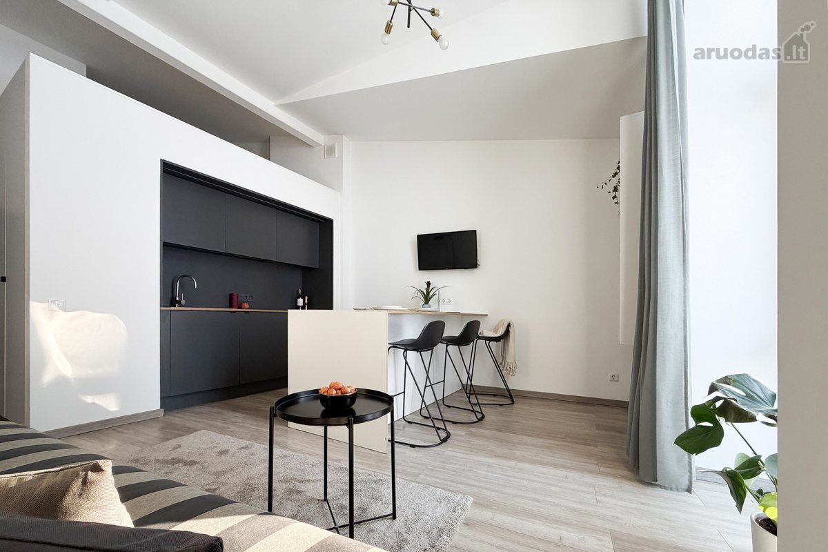 Išnuomojamas erdvus, stilingas ir šviesus - nuotraukos Nr. 8
