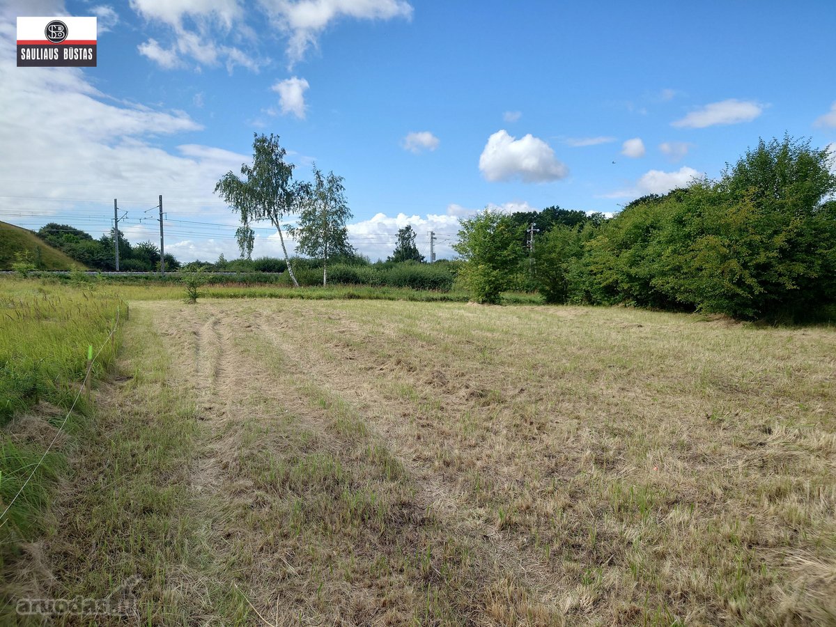 Parduodamas labai pigiai 36,98 a žemės - nuotraukos Nr. 27