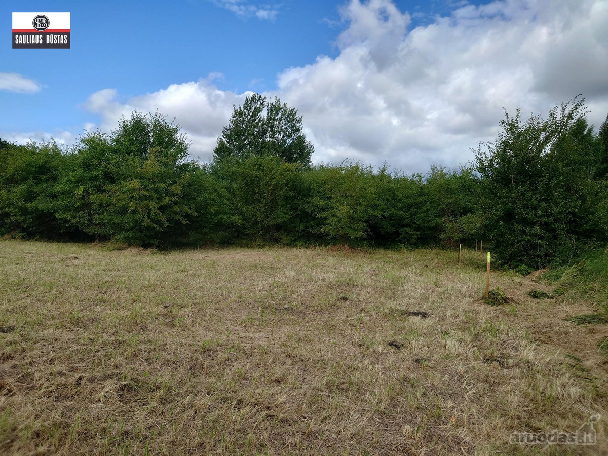 Parduodamas labai pigiai 36,98 a žemės - nuotraukos Nr. 28