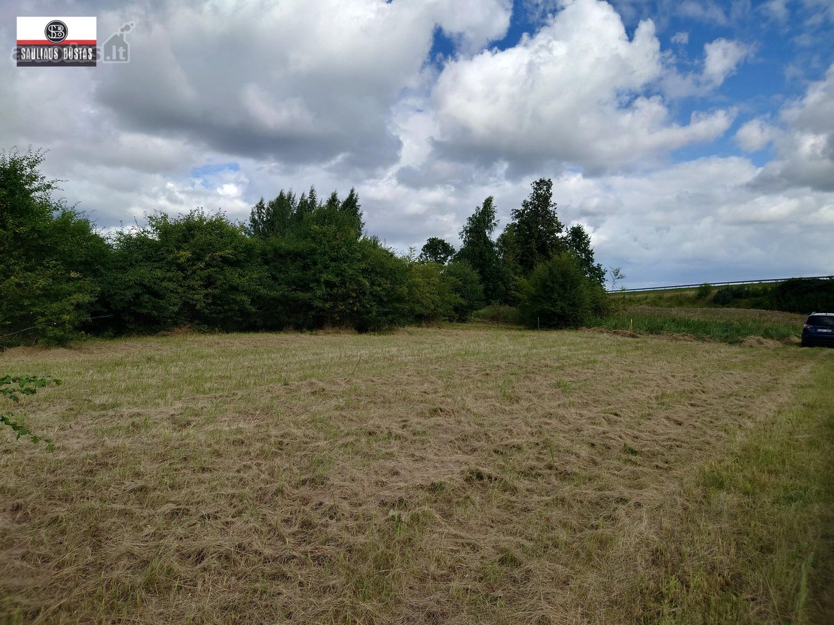 Parduodamas labai pigiai 36,98 a žemės - nuotraukos Nr. 29