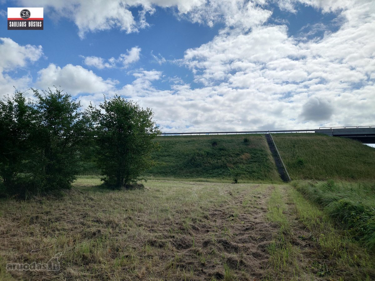 Parduodamas labai pigiai 36,98 a žemės - nuotraukos Nr. 31