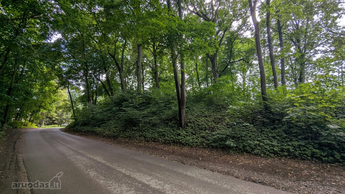 Parduodamas 0,62 ha rekreacinės paskirties - nuotraukos Nr. 3