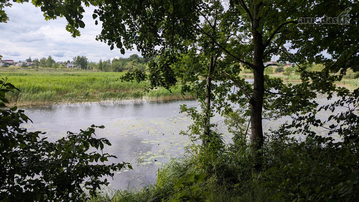 Parduodamas 0,62 ha rekreacinės paskirties - nuotraukos Nr. 2