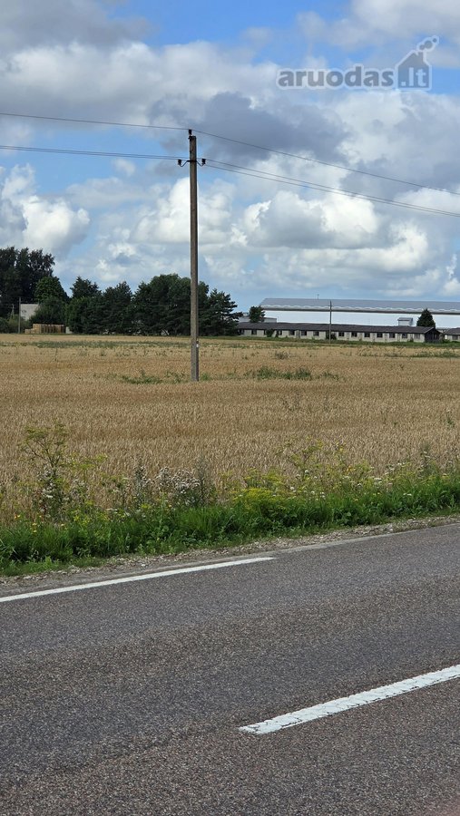 Parduodami du mūriniai gamybos ir - nuotraukos Nr. 7