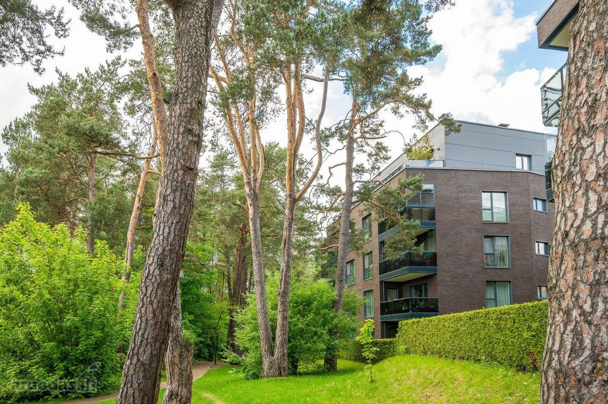 Puikiai Įrengtas 2 K. Butas Antakalnio „Pušų - nuotraukos Nr. 52