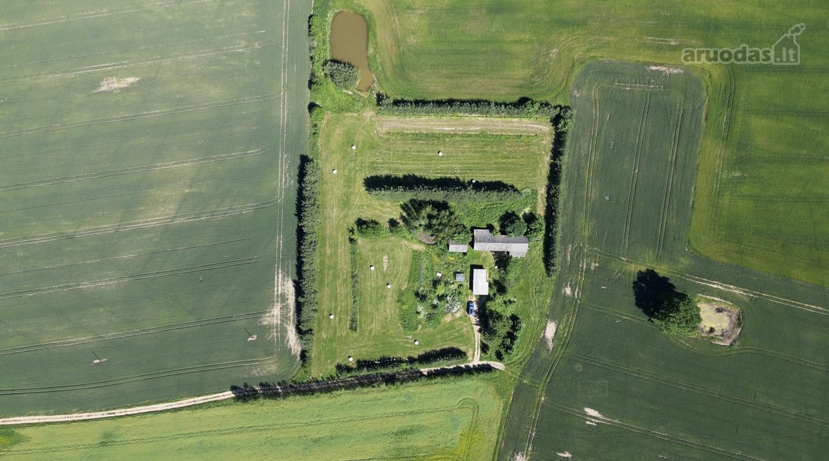 Parduodama tikra ramybės oazė, kurią Tėvukas - nuotraukos Nr. 5