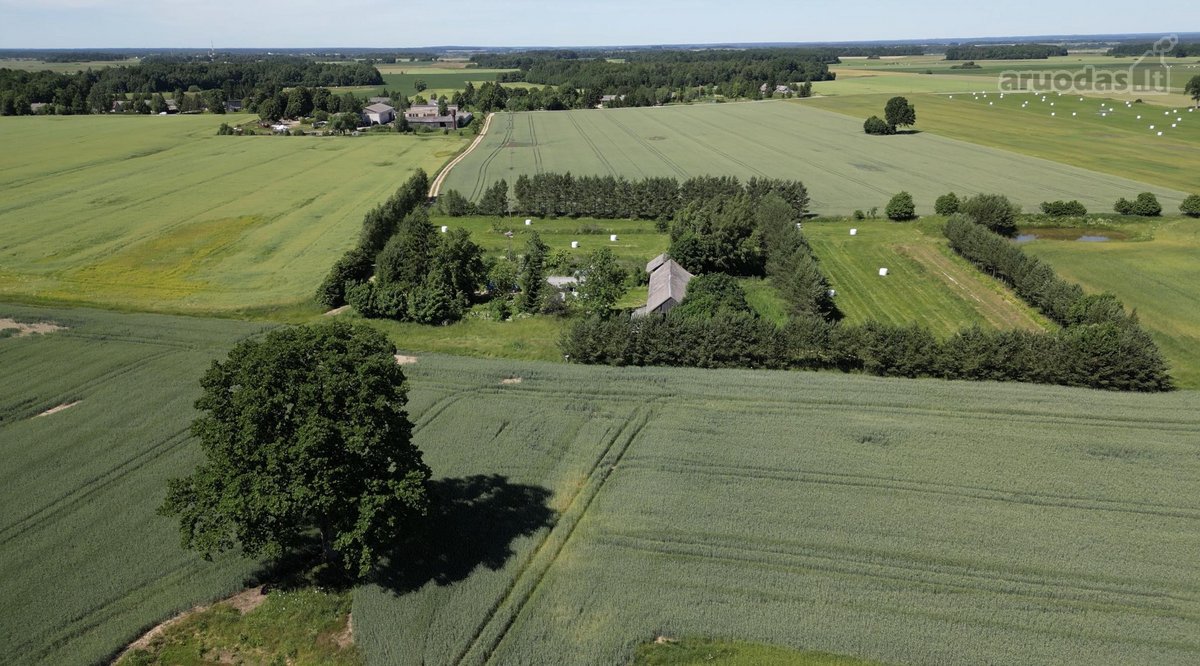 Parduodama tikra ramybės oazė, kurią Tėvukas - nuotraukos Nr. 4