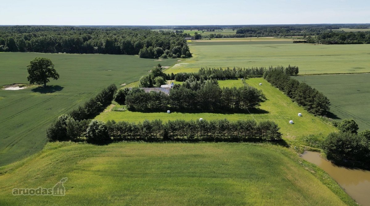 Parduodama tikra ramybės oazė, kurią Tėvukas - nuotraukos Nr. 3
