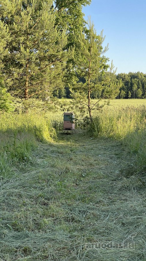 Parduodama tikra ramybės oazė, kurią Tėvukas - nuotraukos Nr. 19